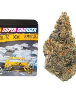 Grandiflora | Super Charger