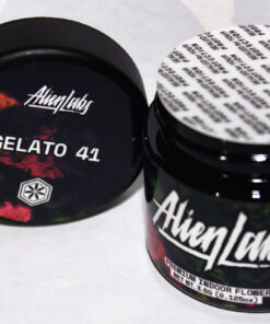 Alien Labs Gelato 41