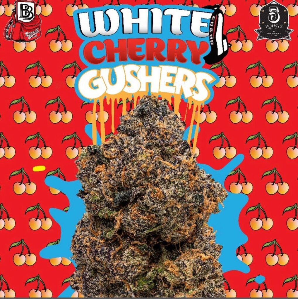 White Gushers Strain Scottie Strains