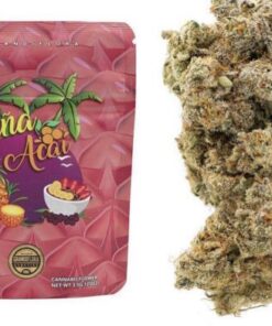 Grandiflora | Pina Acai