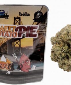 Backpack cherry Gelato Strain