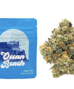Ocean Beach Strain