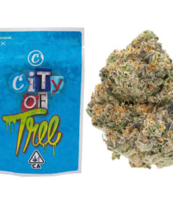 Cookies | City Of Trees