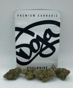 Doja Exclusive | Gelonade