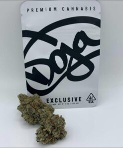 Doja Exclusive | Georgia