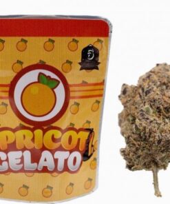 Backpackboyz | Apricot Gelato