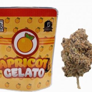 Backpackboyz | Apricot Gelato