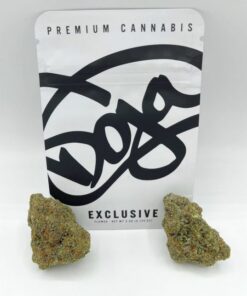 Doja Exclusive | Gushers