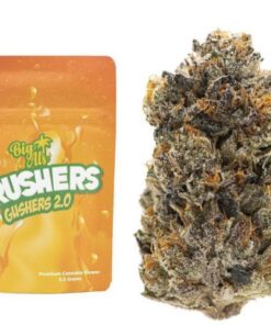 Big Al's Exotics | Crushers Gushers