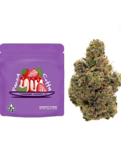 The Rare | Pannna Cotta