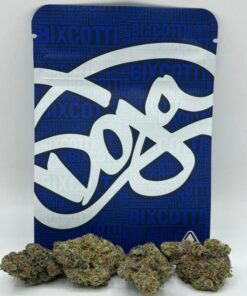 Doja Exclusive | Bixcotti