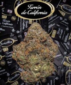 Backpackboyz | Turron De California