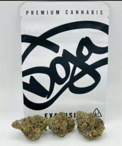 Doja Exclusive | FTW