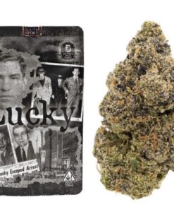 Backpackboyz lucky strain