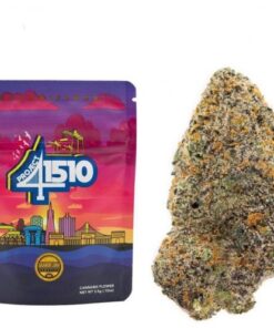 Grandiflora | Project41510