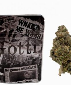 Backpackboyz | Gotti