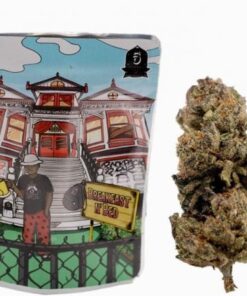 Backpackboyz | Breakfast in Bed