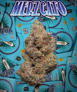 Backpackboyz | Merzcato