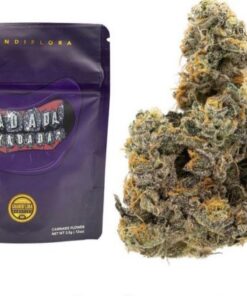 Grandiflora | Yadada