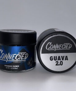 Connected | Guava 2.0
