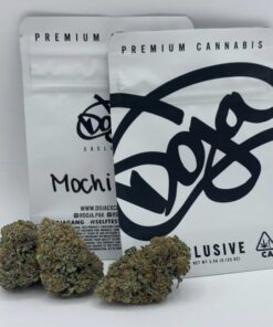 Doja Exclusive | Moch