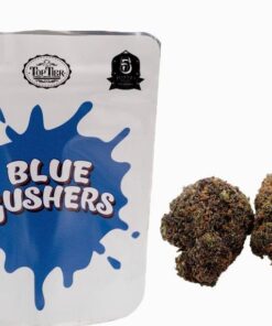 Backpackboyz | Blue Gushers