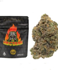 Grandiflora | Hectane