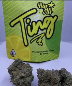 Big Al's Exotics | Ting