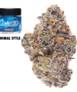 Connected | Animal Style