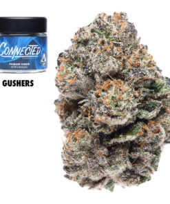 Connected | GA Gushers