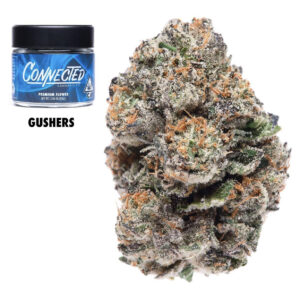 Connected | GA Gushers