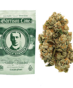 Garrison Lane | Billy Kimber