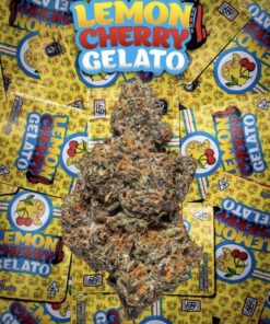 Lemon cherry Gelato Strain