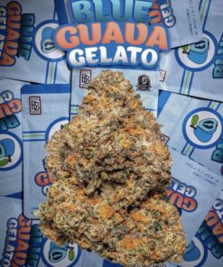Backpackboyz | Blue Guava Gelato