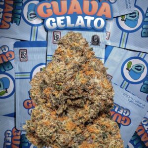 Backpackboyz | Blue Guava Gelato