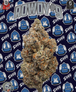 Backpackboyz | Rowdy#9