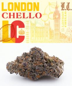 Cookies | London Chello