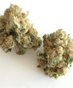 White Widow