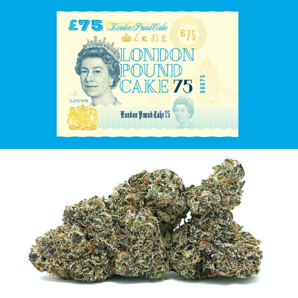 london-pound-cake-strain-scottie-strains