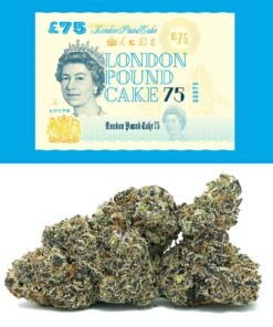 London Pound Cake Strain