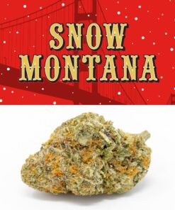 Cookies | Snow Montana