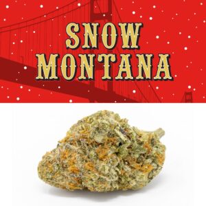 Cookies | Snow Montana