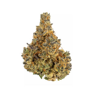 Hariboz strain
