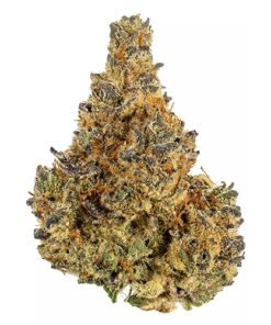 Is Curing Weed Necessary maximum potency