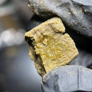 HASH WARRIOR
