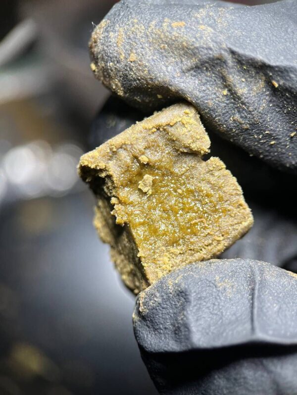 HASH WARRIOR